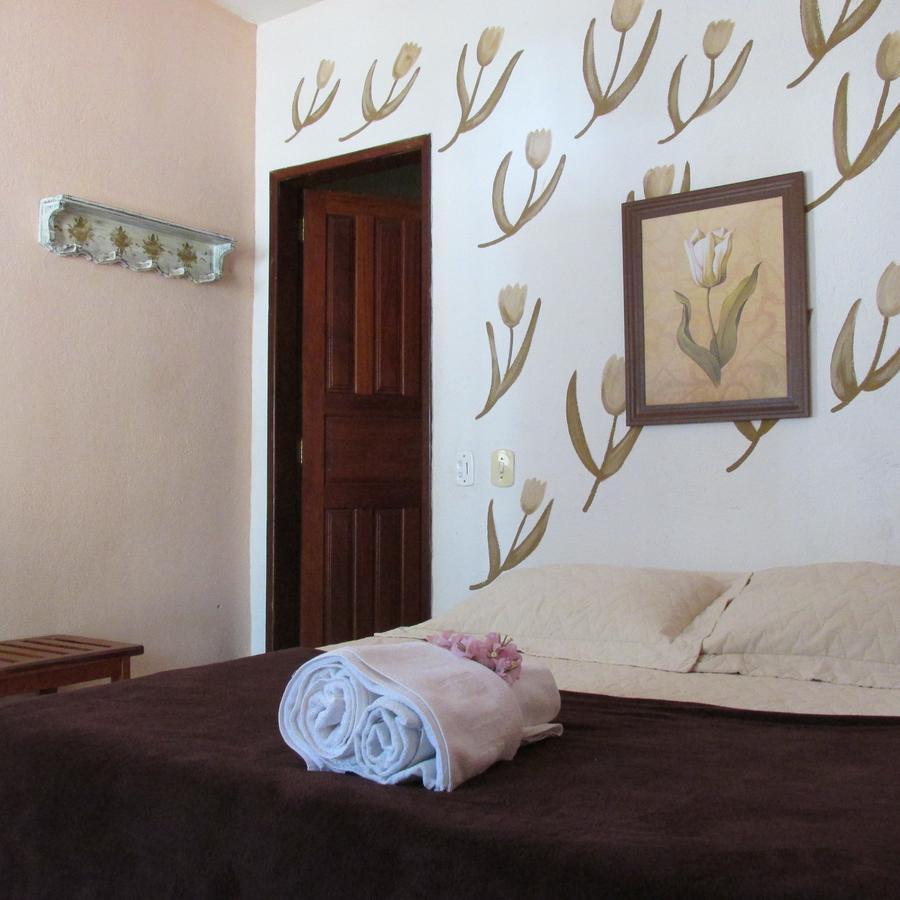 Hotel Fazenda Barra Alegre Sao Jose do Goiabal Luaran gambar